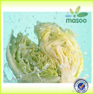 Bulked Chinese Fresh cabbage for sale, fresh vegetables, good quality